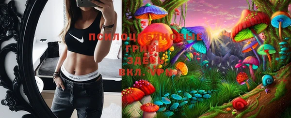 не бодяженный Алзамай